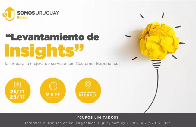 Levantamiento de Insights