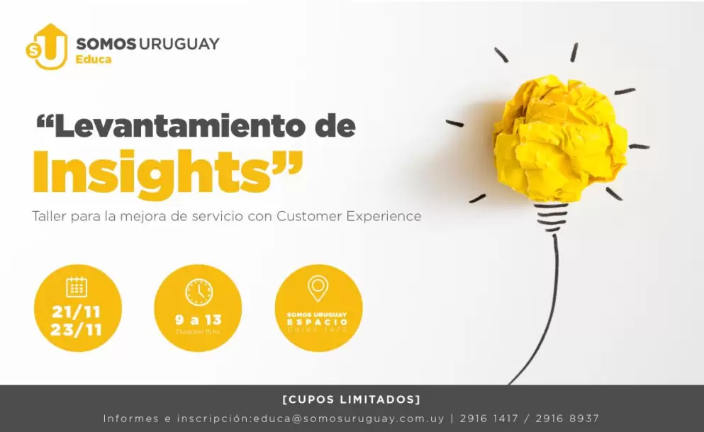 Levantamiento de Insights