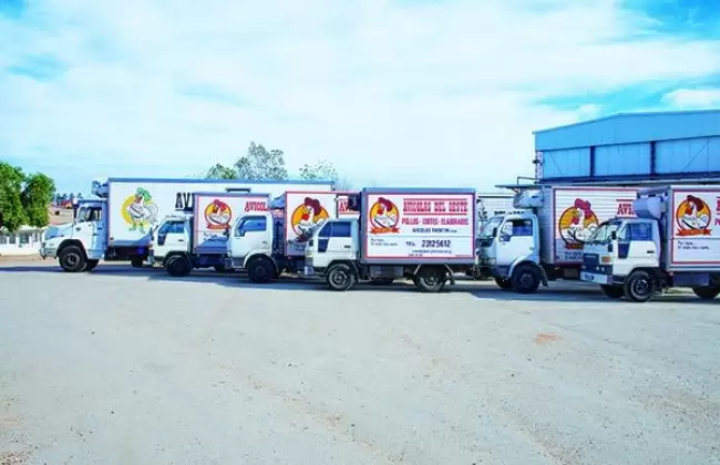 Innovaci�n y permanente apuesta para todos los consumidores