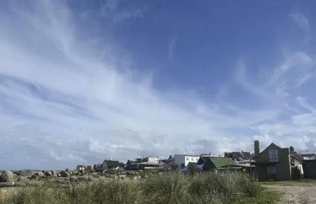 Un esfuerzo colectivo por la sostenibilidad ambiental