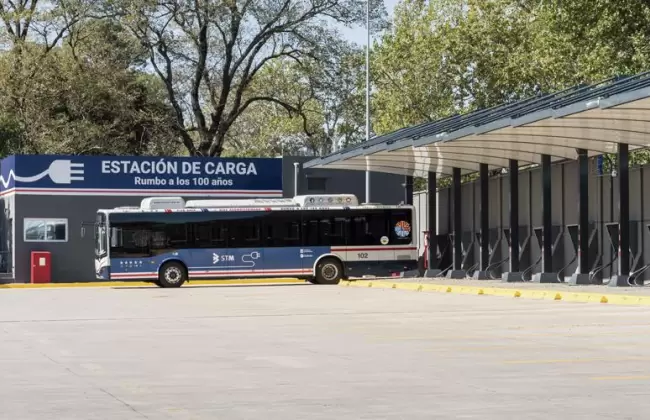 �La crisis provocada por la pandemia ha sido la peor en estos 25 a�os�