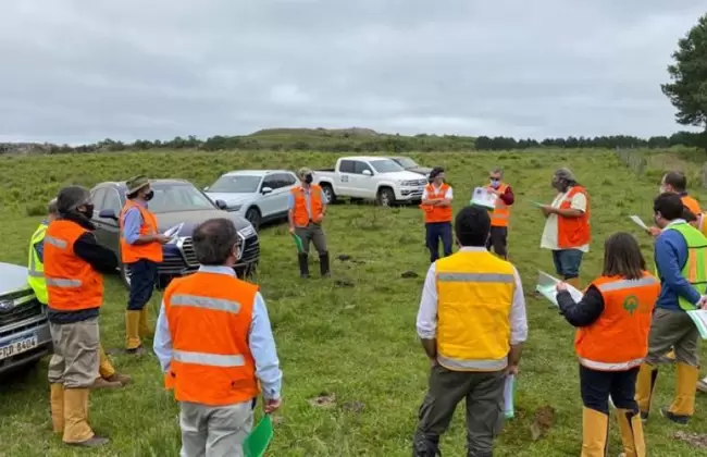 Forestal Lumin anunci� inversi�n de 136 millones de d�lares