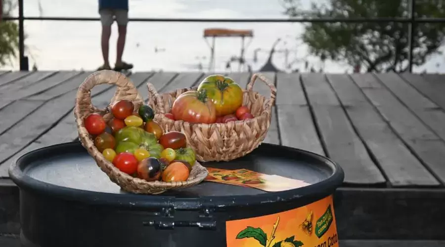 Paysand� celebr� la tercera Cata Nacional de Tomates