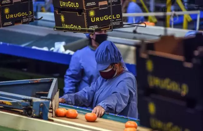 Actividad industrial creci� levemente en enero