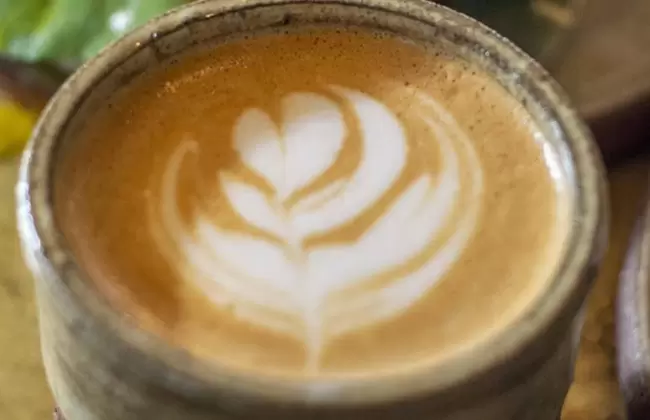 Caf� La Resistencia: �La interacci�n entre el caf� y el bosque�