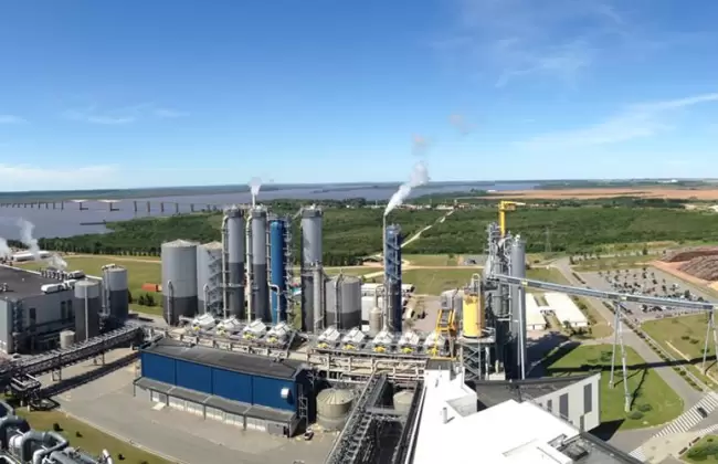 Ministerio de Ambiente present� pautas para el monitoreo de planta UPM 2