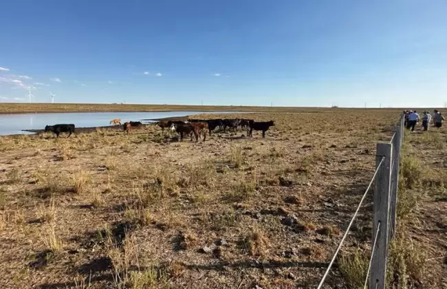 Hacia una pol�tica nacional de riego