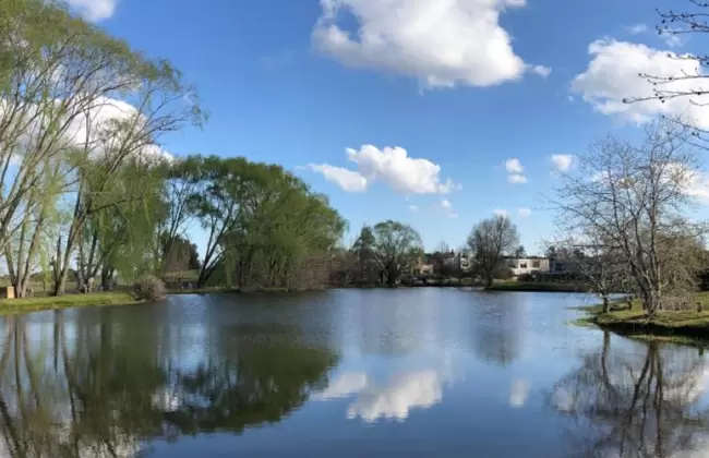 Intendencia de Montevideo  y ANEP lanzan los concursos ambientales �Enfoc� tu ambiente� y �Una foto hacia el futuro�