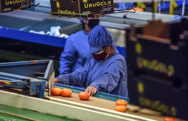 Actividad industrial cay� 3% en abril