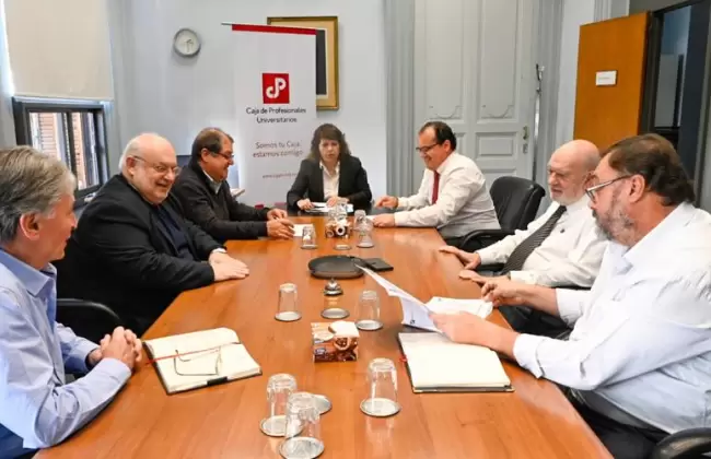 Caja de Profesionales ces� a su gerente general