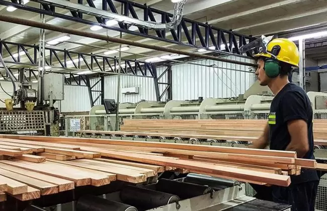 El sector industrial aport 429 millones de dlares en 2022