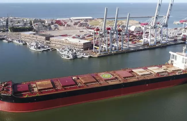 Exportaciones en junio cayeron 31%