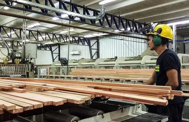 34% de las empresas planea incrementar su inversin el prximo ao