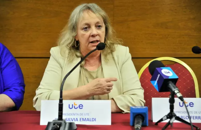 UTE prev plan de inversiones por 250 millones de dlares