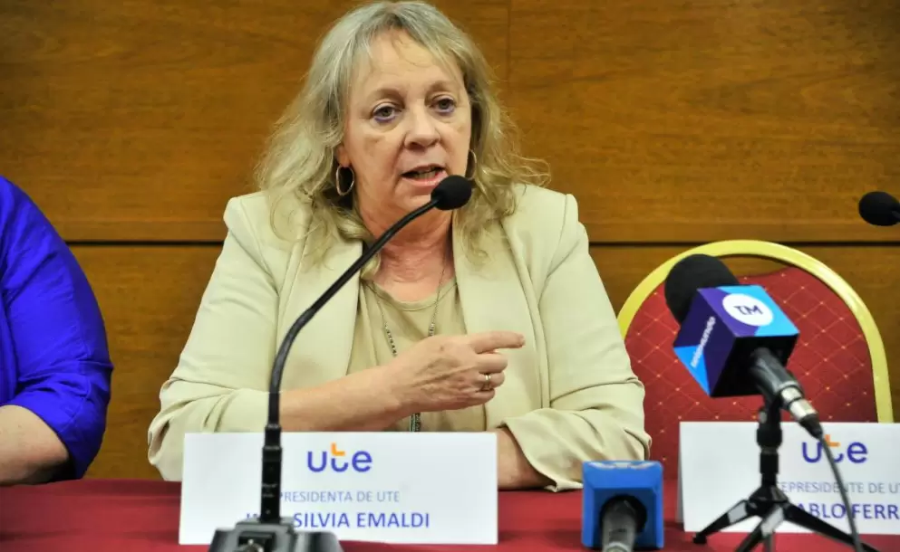 UTE prev plan de inversiones por 250 millones de dlares