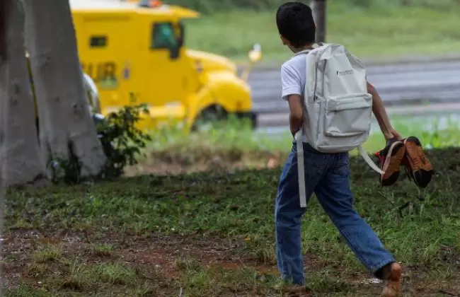 "Piecitos Colorados": el programa de desarrollo de Prosegur