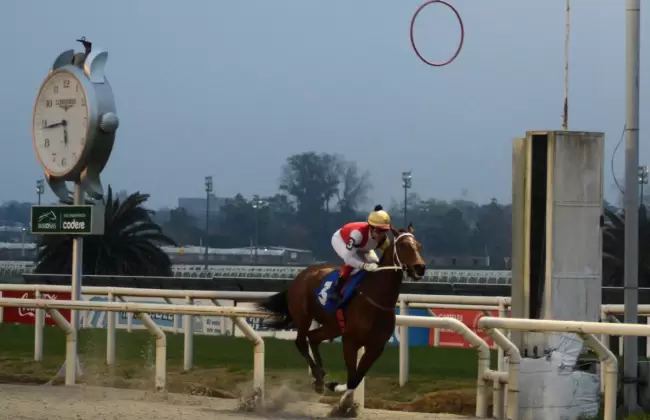 HRU coloc ttulos de deuda por US$ 10 millones en Obligaciones Negociables  
