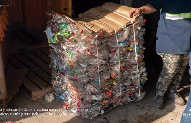 Ro Negro, pionero en calidad ambiental, busca calcular el balance de carbono