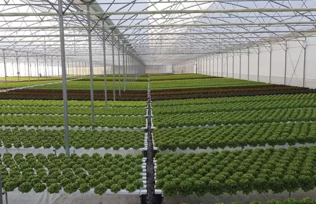 Un producto sustentable que traspasa la barrera del eslogan