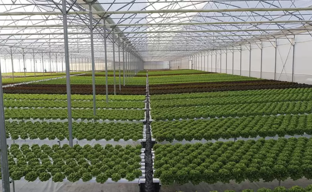 Un producto sustentable que traspasa la barrera del eslogan