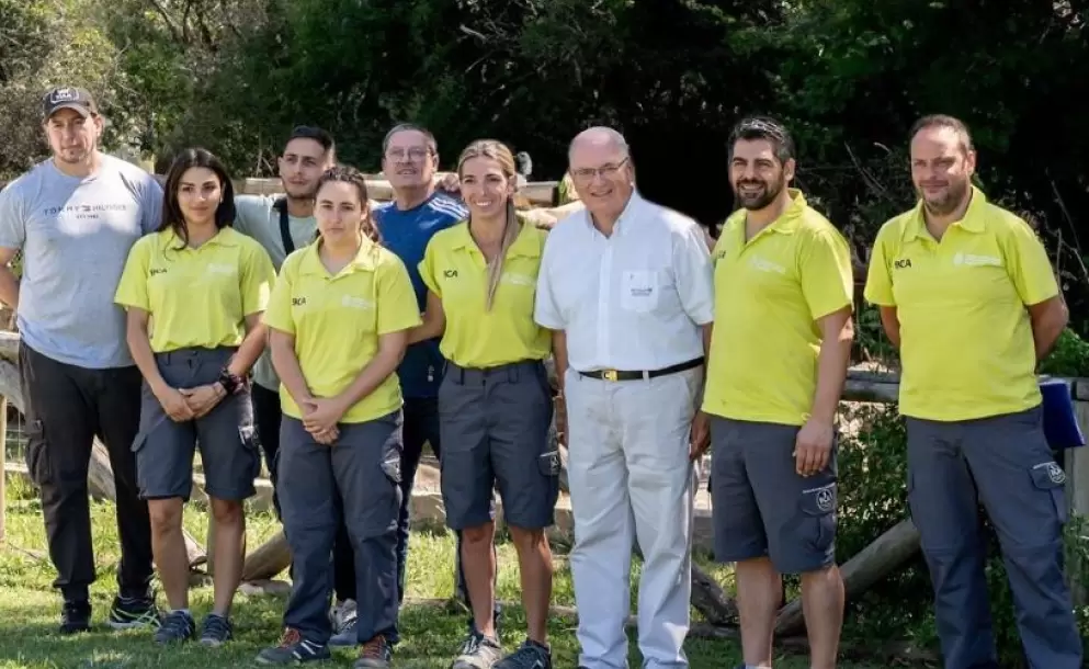 Bioparque M'Bopicu recibe pumas desde Argentina para su preservacin