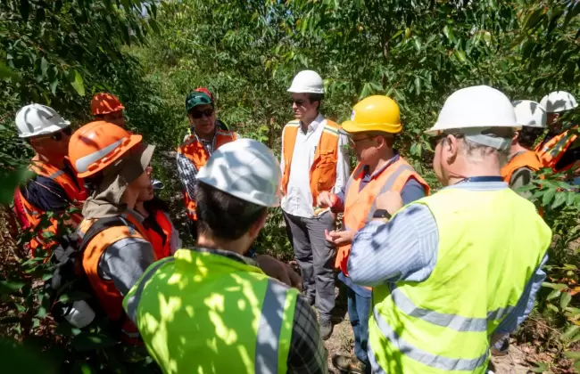 Primer Curso de Actualizacin en Sanidad Forestal del Cono Sur