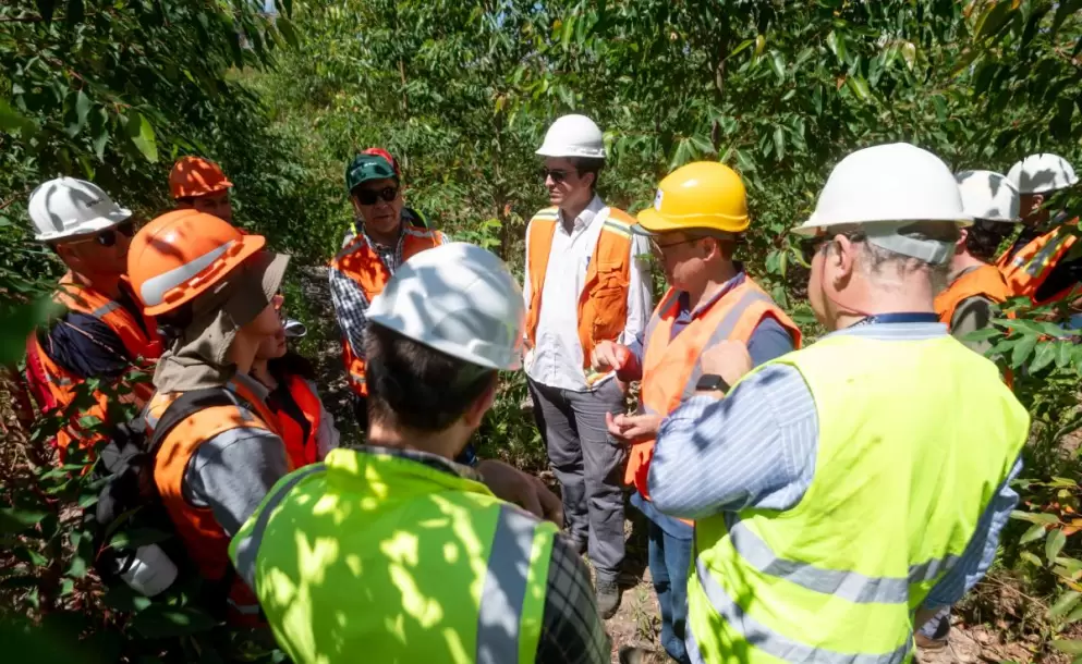 Primer Curso de Actualizacin en Sanidad Forestal del Cono Sur