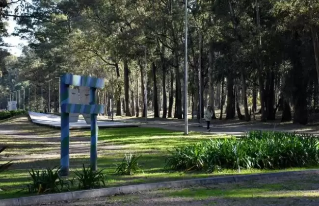 Intendencia de Canelones avanza en forestacin del Parque Roosevelt