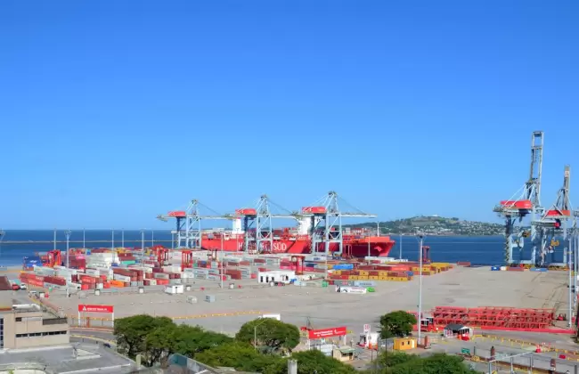 Exportaciones aumentaron 6% en enero de 2025