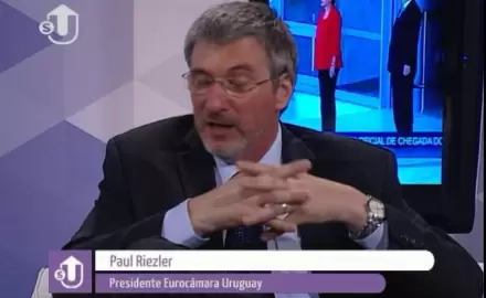 Programa 29