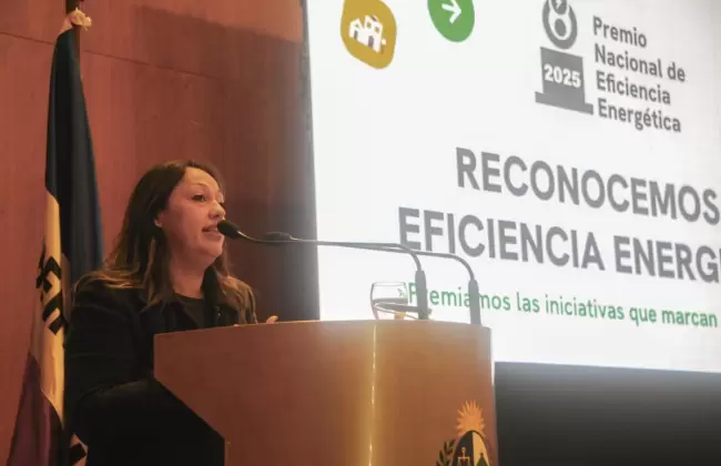 El MIEM lanz Premio Nacional de Eficiencia Energtica 2025  