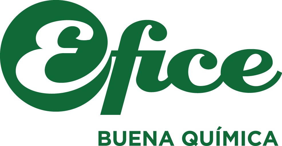 Logo Efice