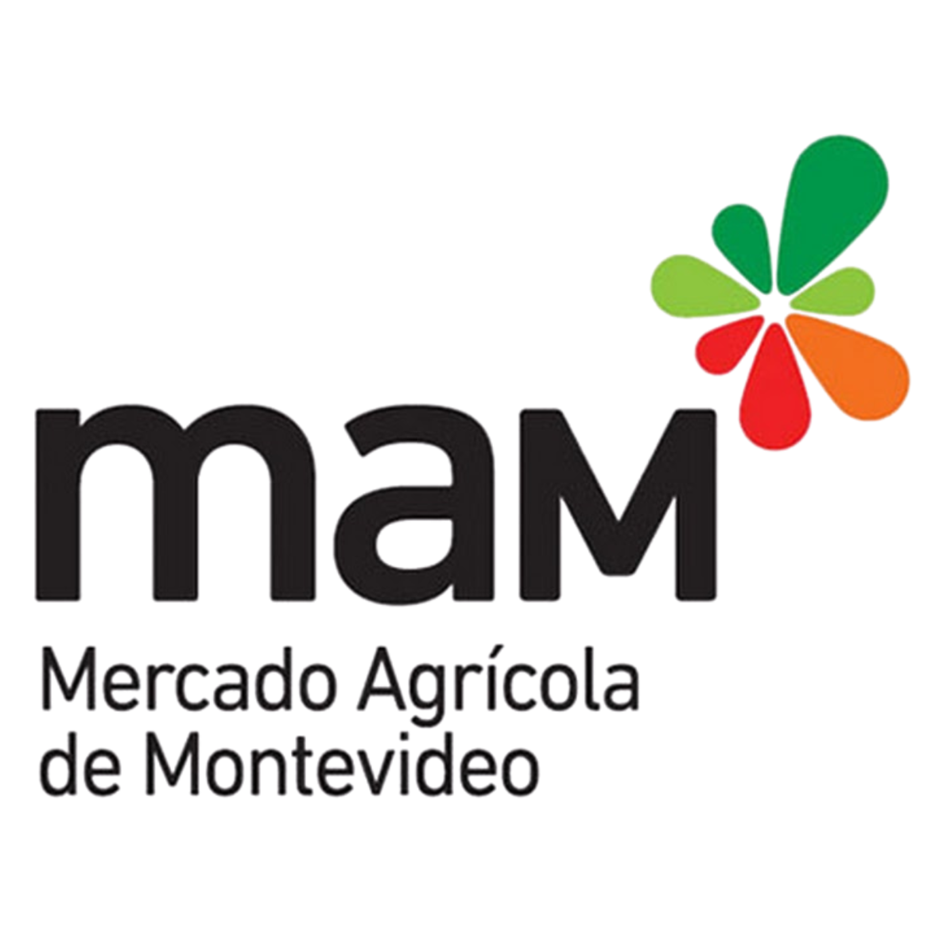Logo Mercado Agrcola de Montevideo