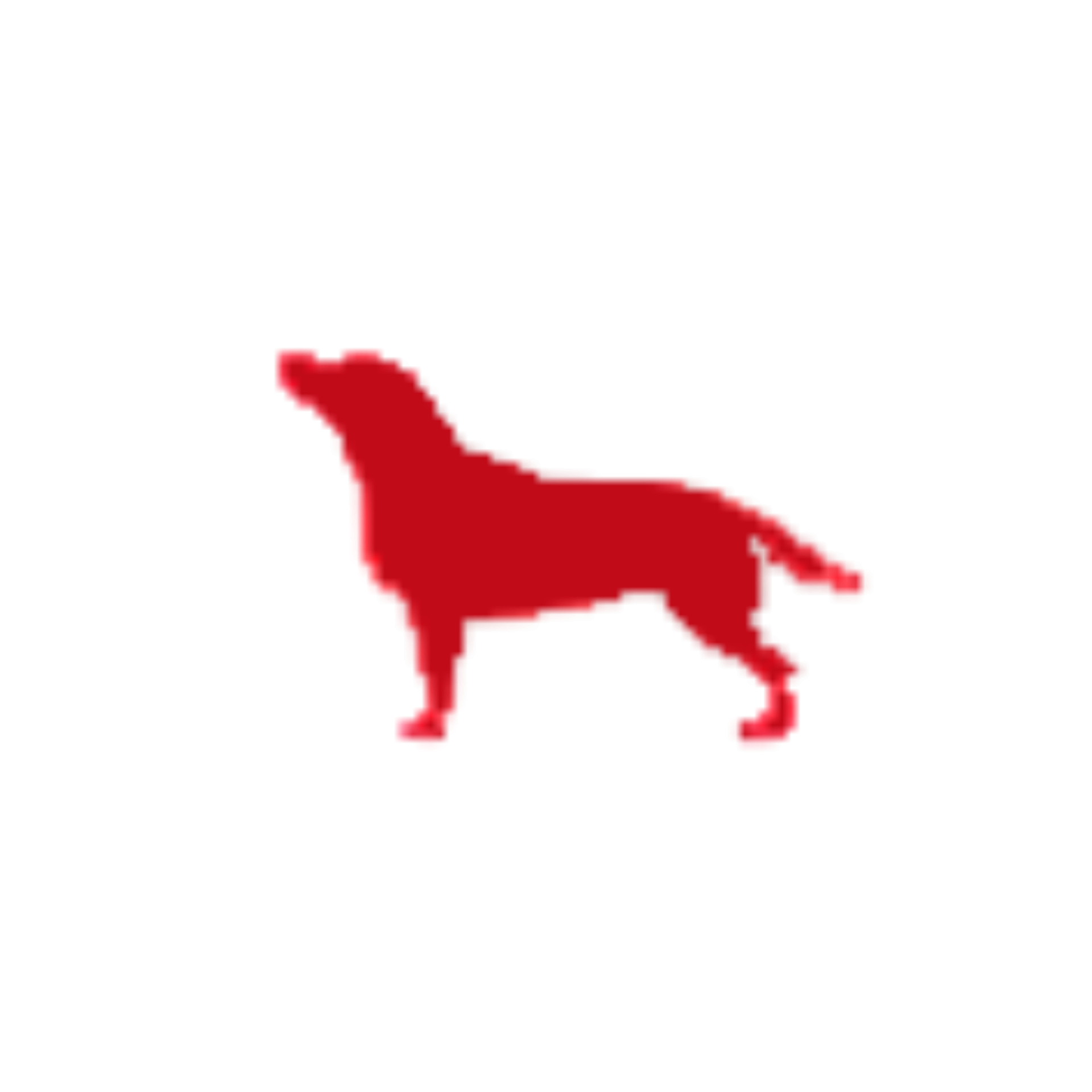 Logo CAN Comunicacin
