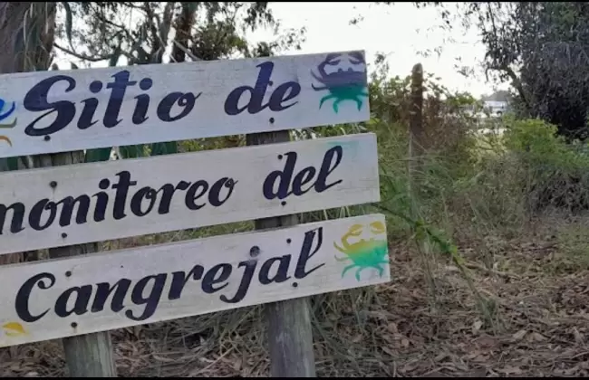 Foto: Cangregal de Sols Chico