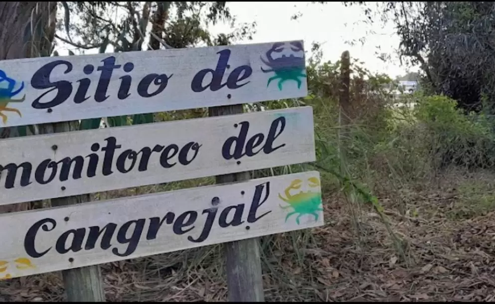 Foto: Cangregal de Sols Chico