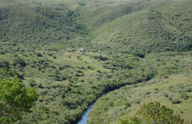 Foto: Ministerio de Ambiente