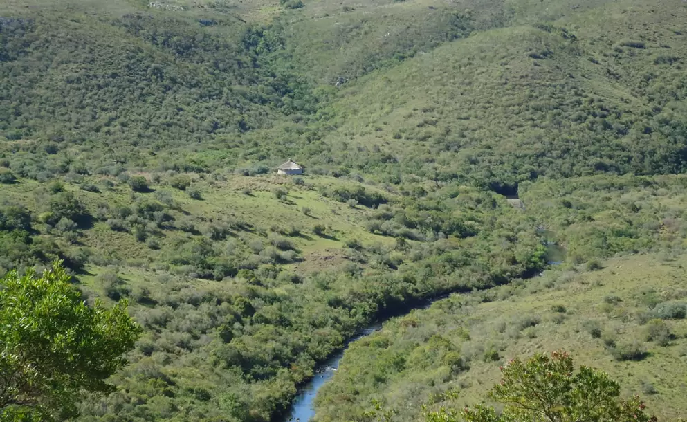 Foto: Ministerio de Ambiente