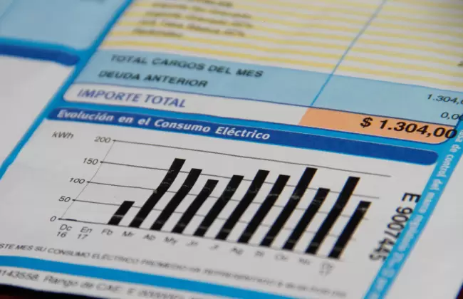 Foto: Intendencia de Rocha