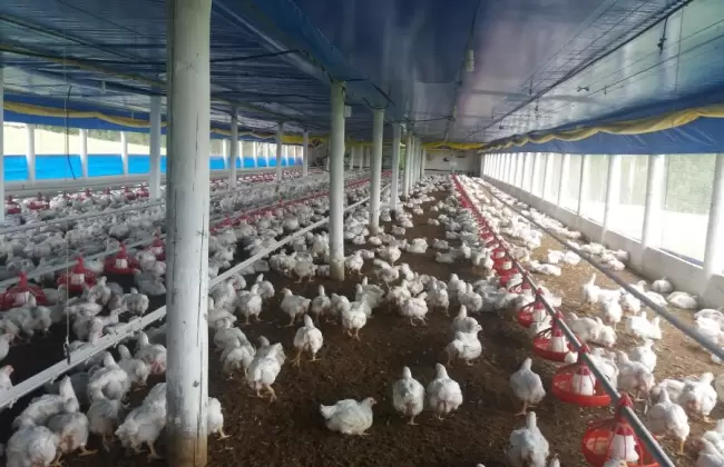 Foto: Presidencia de la Rep�blica