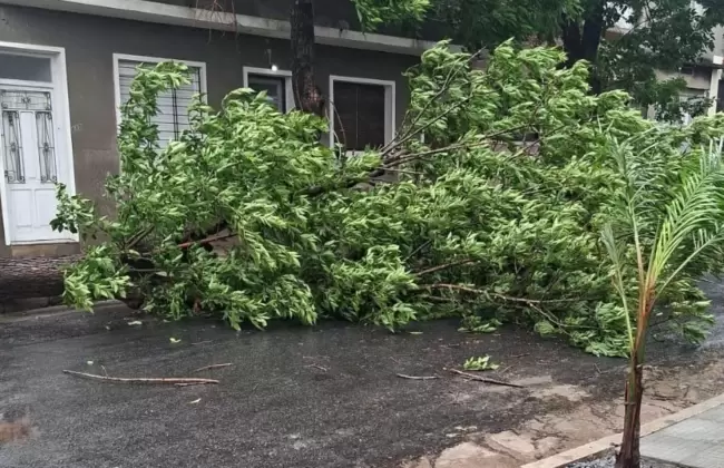 Foto: Intendencia de Florida