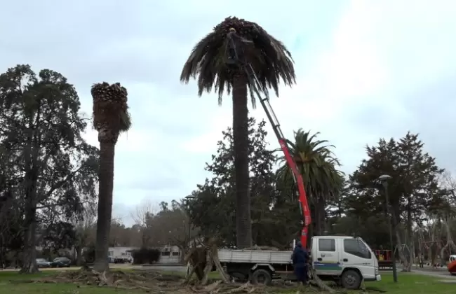 Foto: Intendencia de Canelones