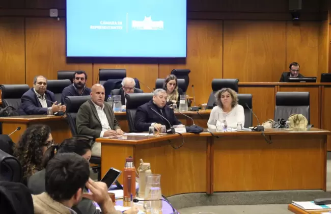Foto: Parlamento
