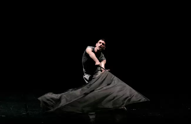 Festival Internacional de Circo con el espect�culo AeReA