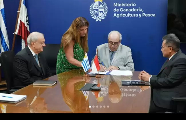 Foto: Presidencia